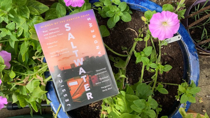 SALTWATER – JESSICA&nbsp;ANDREWS