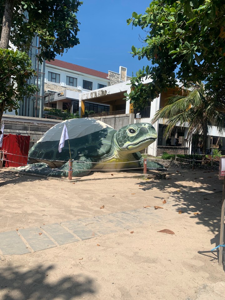 BALI DAY 4 – A day in Kuta, turtle releasing, markets +&nbsp;massages