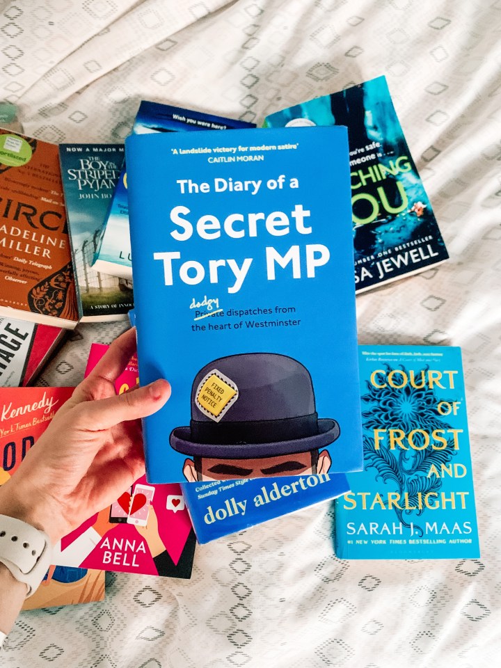 diary of a secret tory mp - the secret tory book review