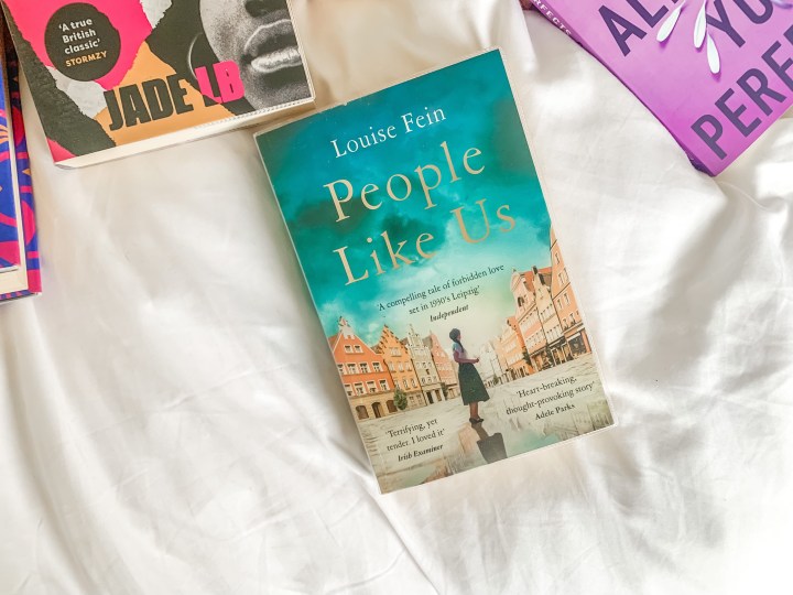 people like us louise fein book